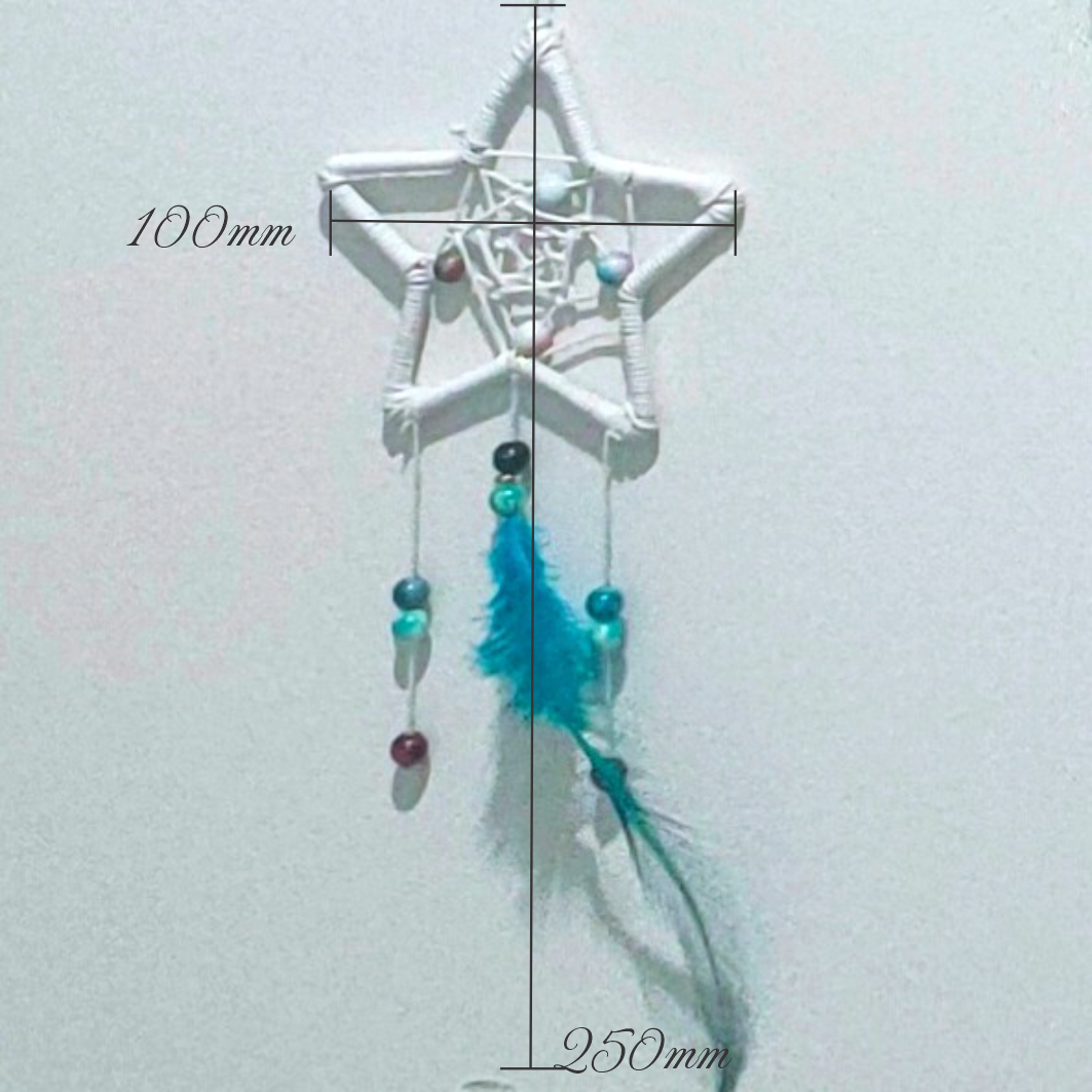 Small Dream Catchers